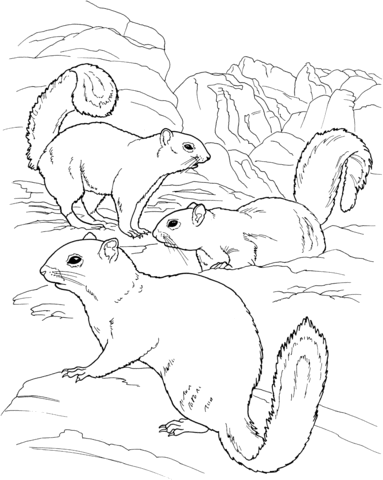 Three Squirrels Coloring Page